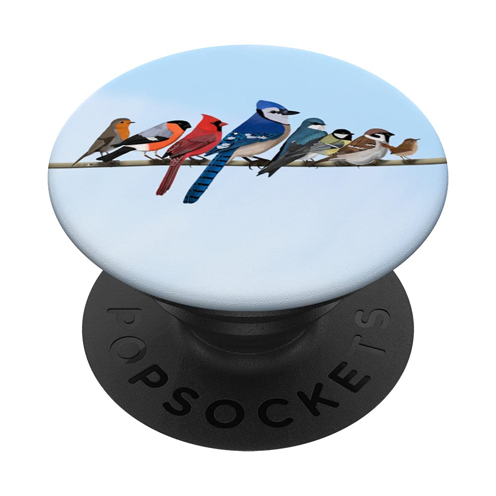 Garden Birds Blue Jay Bullfinch Ornithologist Biologist PopSockets Swappable PopGrip