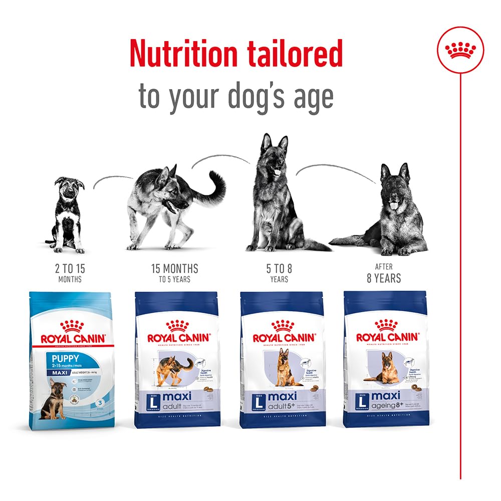 Royal Canin Comida para perros Maxi Adult +5 15 Kg