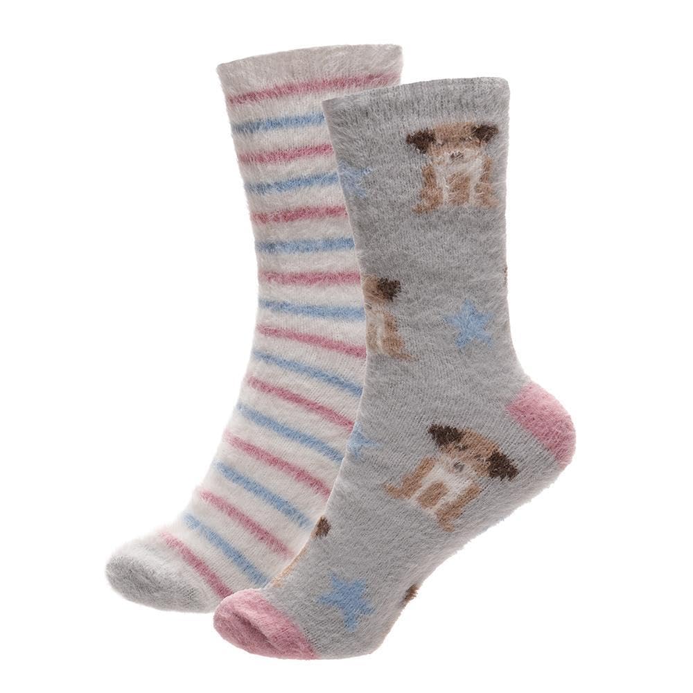 A2z Women's Dogs 2 Pack Novelty Chenille Cosy Socks Soft Brushed Warm Winter - Socks Lds 1273A 2 Pack 4-8