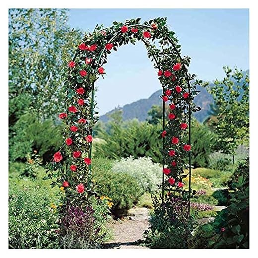 Trädgård Arbor Dekorativ båge Självmontering Trädgård Pergola växter används för stativ rack Utomhus gräsmatta Bakgård uteplats Bröllop Klättring vinstockar Rosor Blommor Bröllopsfest