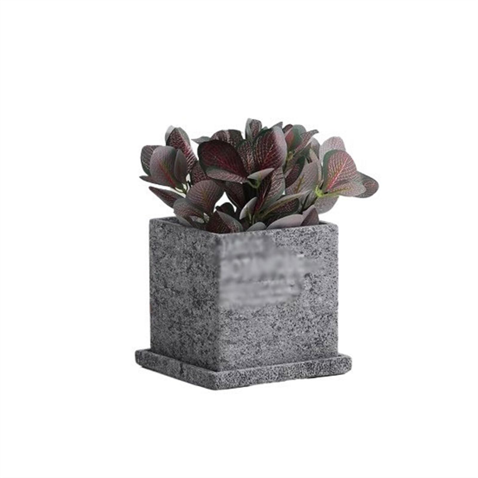 SDA287MZ Cement Planter Simple Creative Succulent Green Square Small Perforated Breathable With Tray Personalized Pots Multifunction(Gris,Large)