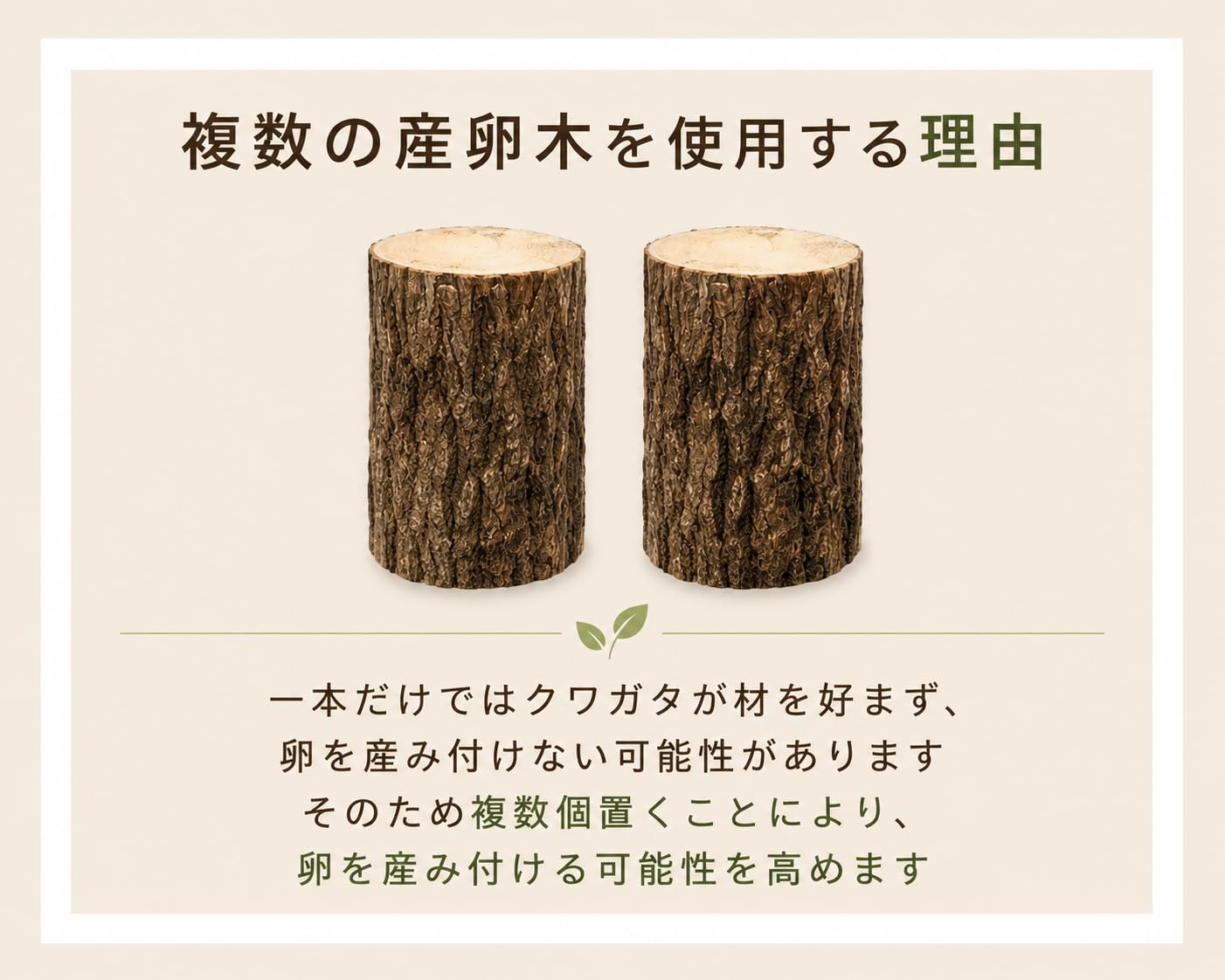 Amazon | 【2本セット】 コナラ産卵木 細目（8cm程度） クワガタ虫