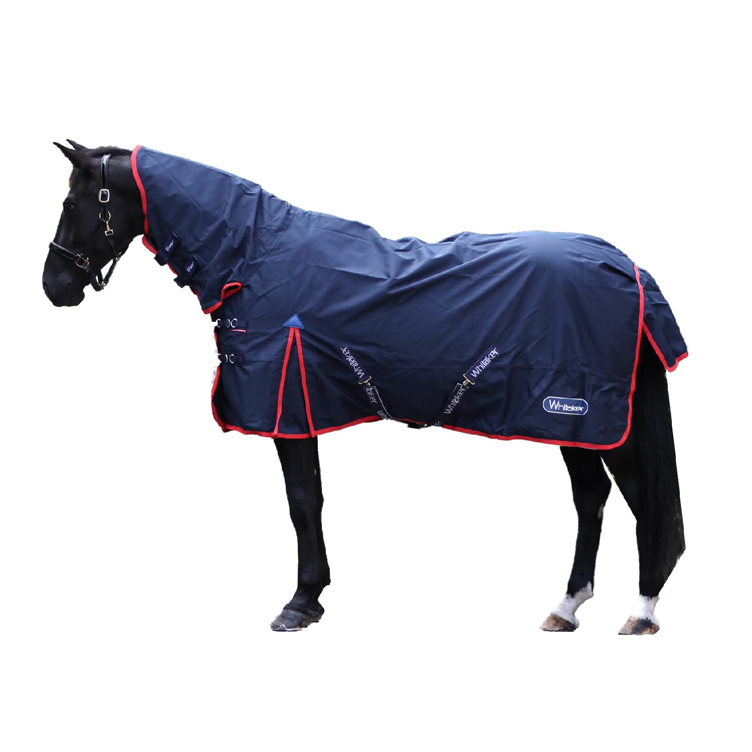 John Whitaker Rastrick Fixed Neck 0g Lightweight Turnout Rug for Horses