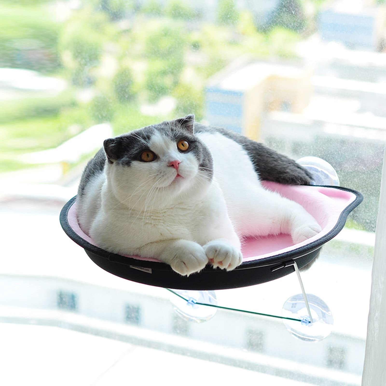 Hamac Chat/Perchoir à Chat Lit de la fenêtre de Chat, Chat hamac siège de fenêtre, Espace Chat monté sur fenêtre for Chat d'intérieur jusqu'à 38 LB Hamac pour Animaux