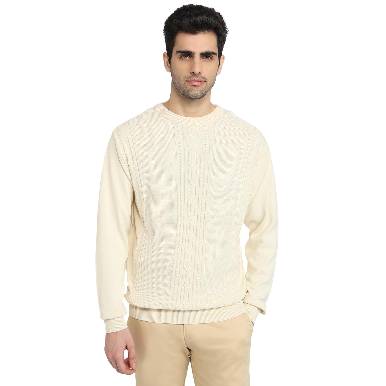 colorplus Men Regular Fit Jacquard Pattern Pure Cotton Full Sleeve Round Neck Casual Sweater White-picture-38