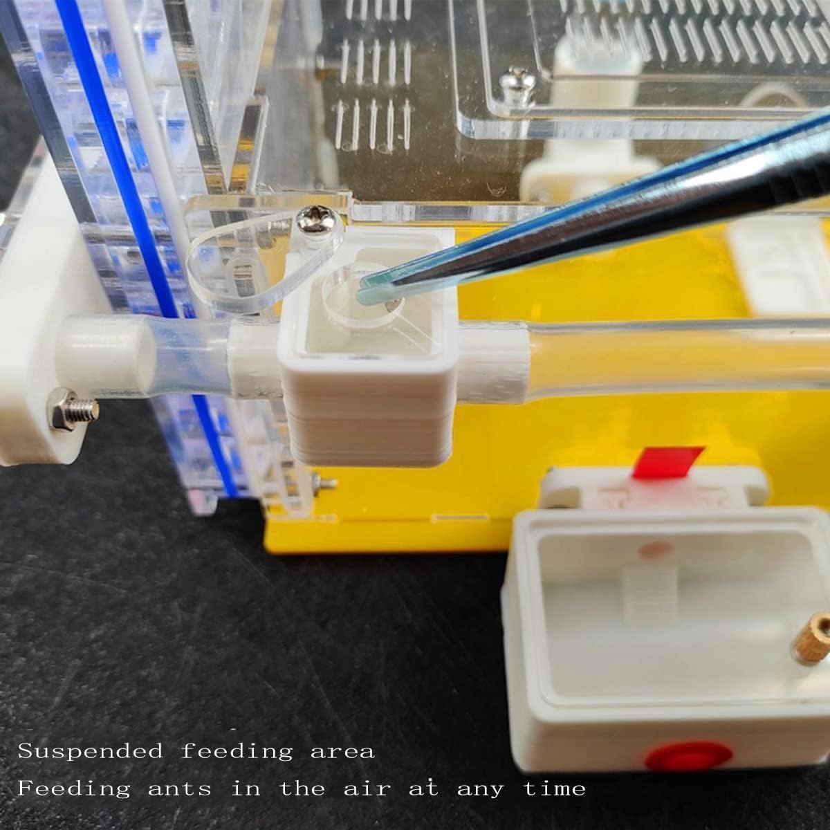 Granja De Hormigas 3D, Nido De Hormigas Acrílico con área De Alimentación, Hábitat para Hormigas, Torre De Agua Hidratante, Casa De Hormigas, Caja De Villa, Hormiguero para Mas, Blue