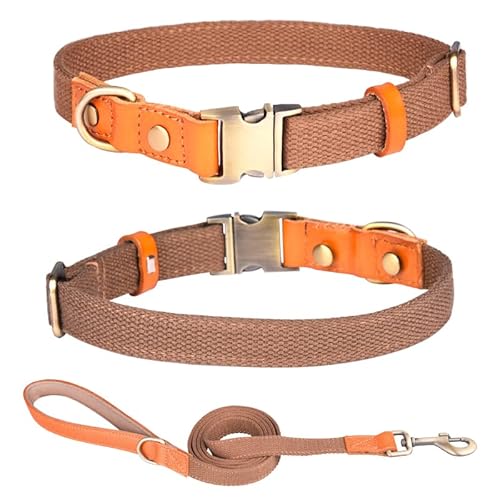 Haoyueer Collar de perro de nailon, con hebilla de seguridad de metal, collar de cuero ajustable y nailon para mascotas y correa para perros pequeños, medianos y grandes (L, marrón)