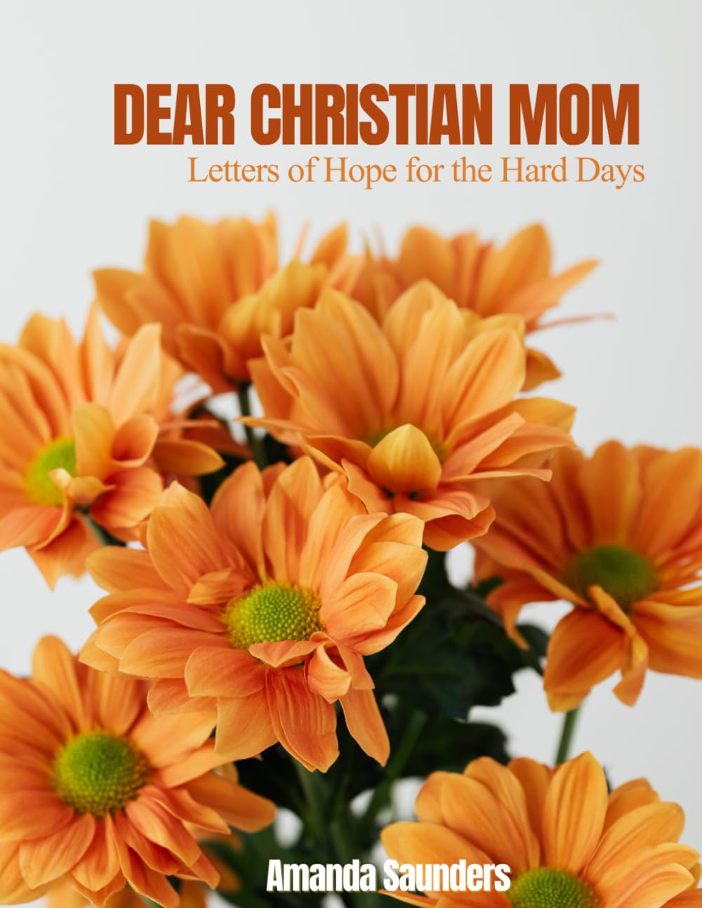 Dear Christian Mom: Letters of Hope for the Hard Days: You’re not failing — you’re fighting. And God is right there with you.