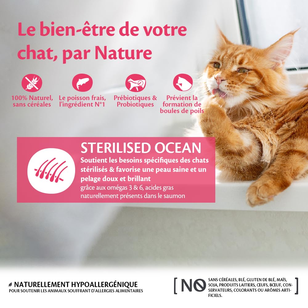 WELLNESS CORE Océan Stérilisé 4 kg, Saumon – Croquettes pour Chats Stérilisés, sans Céréales, Naturelles, Hypoallergénique, Riche en protéines, À Haute Teneur en Poisson, Peau Saine & Pelage Brillant