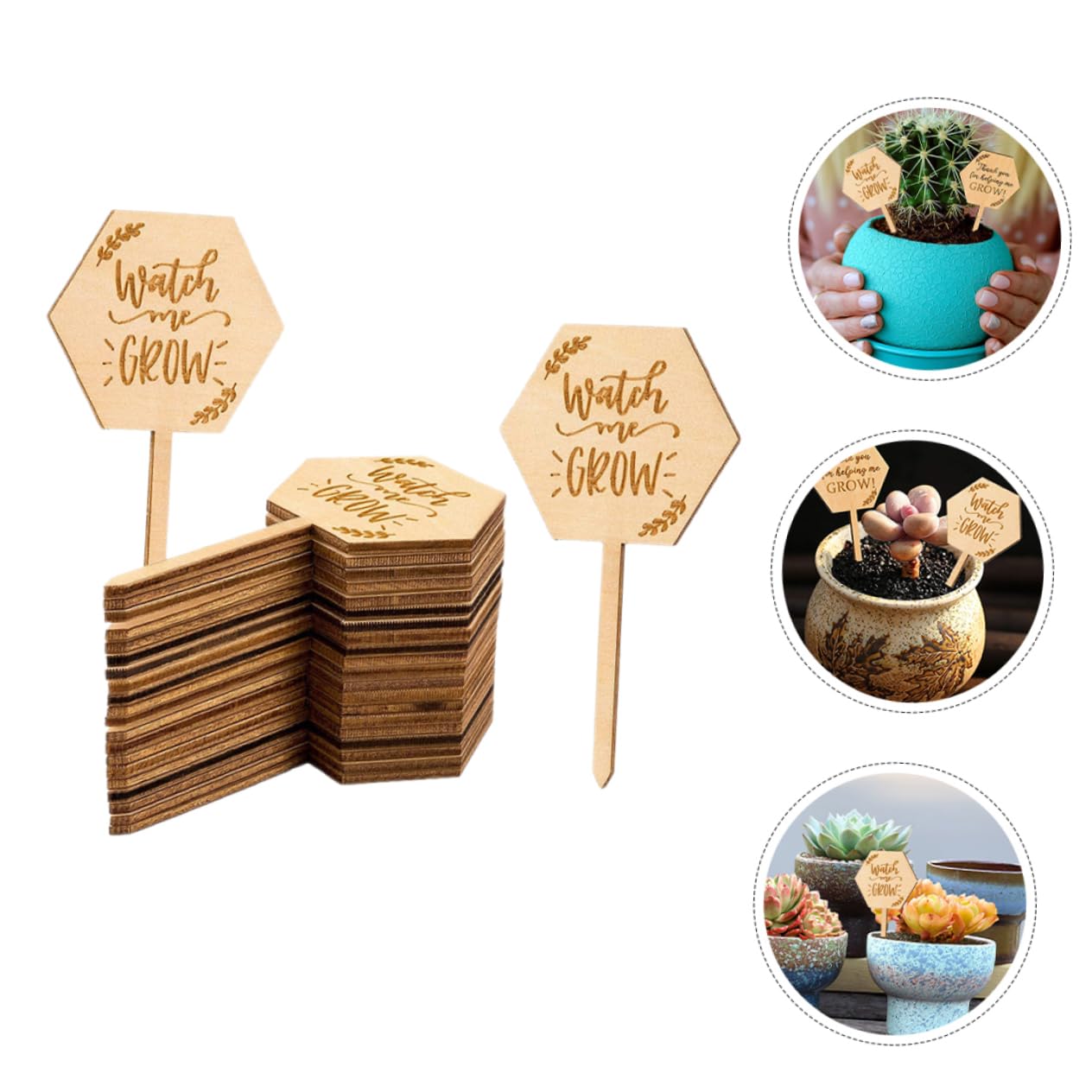 ibasenice 5 Ensembles Étiquettes En Bois Pour Plantes Étiquettes Pour Semis Jardinage Marqueurs Pour Plantes De Jardin Étiquettes Pour Plantes Succulentes Étiquettes De 40 pièces * 5