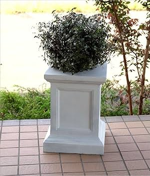 61HlZMHtRYL._AC_UF350,