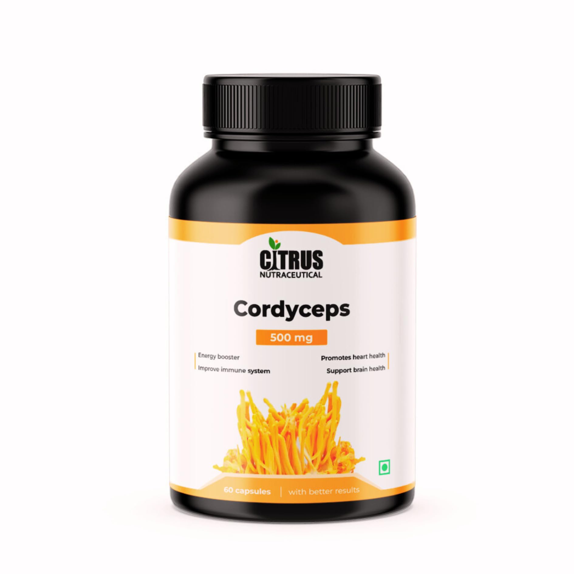 CITRUS NUTRACEUTICAL Cordyceps 500 mg for Energy Stamina Performance Immunity Respiratory Health Heart Health and Cognitive Function (60 Capsules)-image-43