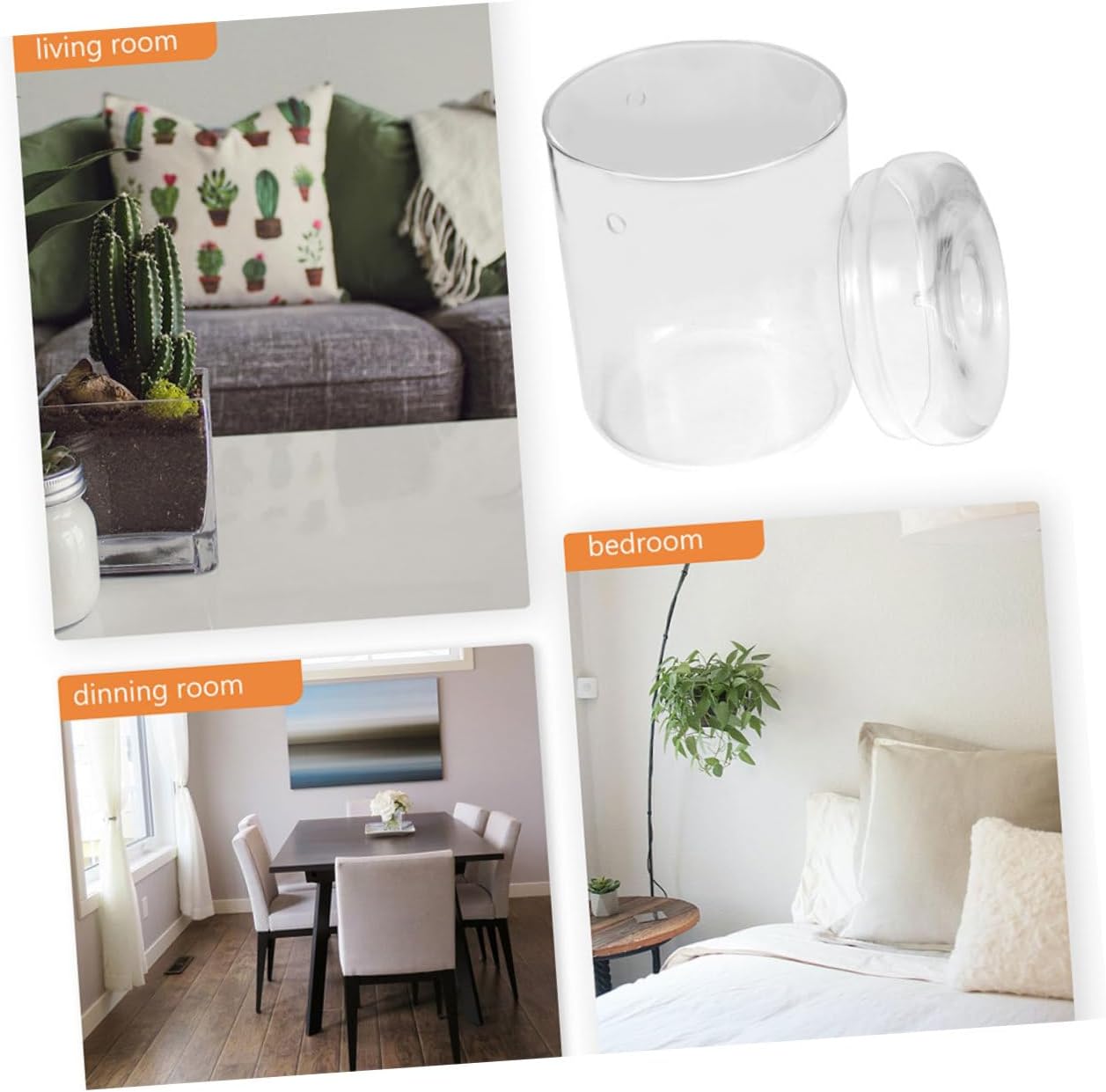 Plant Terrarium Bottle for Landscape Holder Creative Desktop Decoration for Home Office and Garden Compact and Lightweight Design