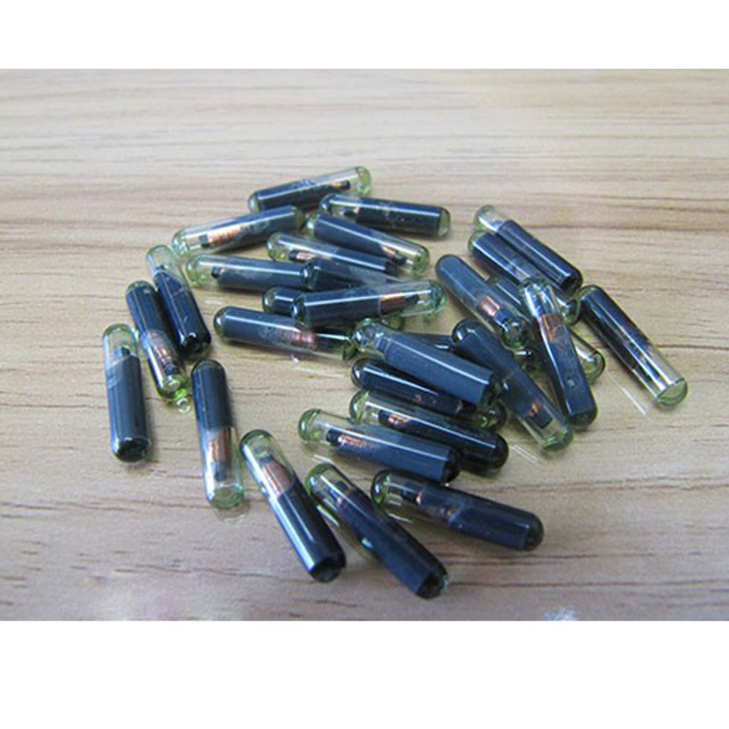 ID48 Transponder Chip Glass for VW Volkswagen T6 Megamos Crypto ID 48 New,  Keyless Entry Systems - Amazon Canada