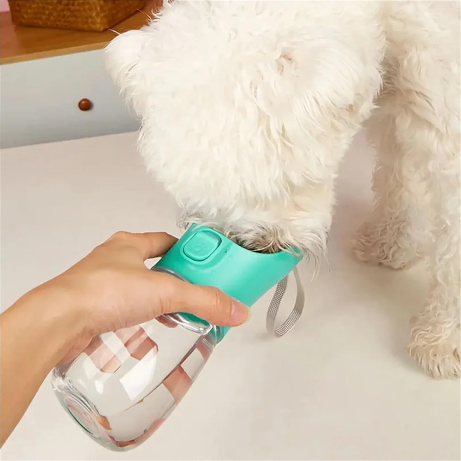 Pet Portable Big Dog Water Bottle for Small Large Dogs Outdoor Hiking Leakproof Puppy Drinking Bowls Golden Retriever Supplies(Gray,300ml-PET)