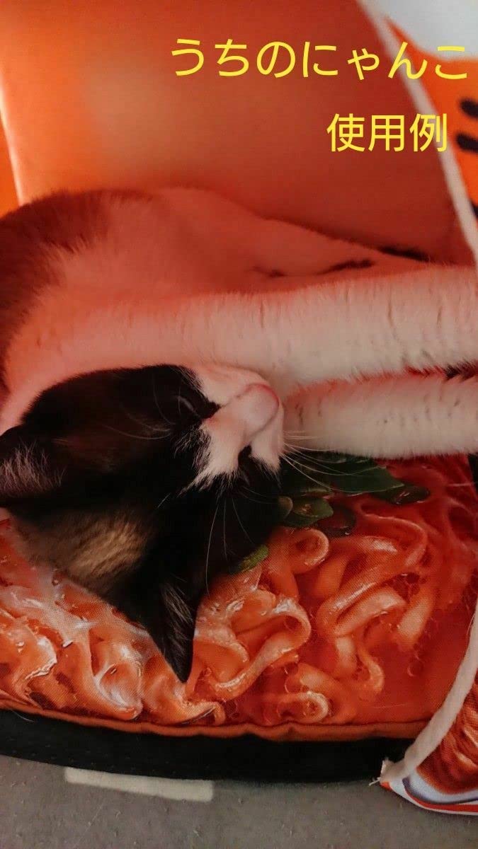 日清 ペットハウス　チキンラーメン型 Amazon | 日清食品 ペットハウス チキンラーメン型 クッション