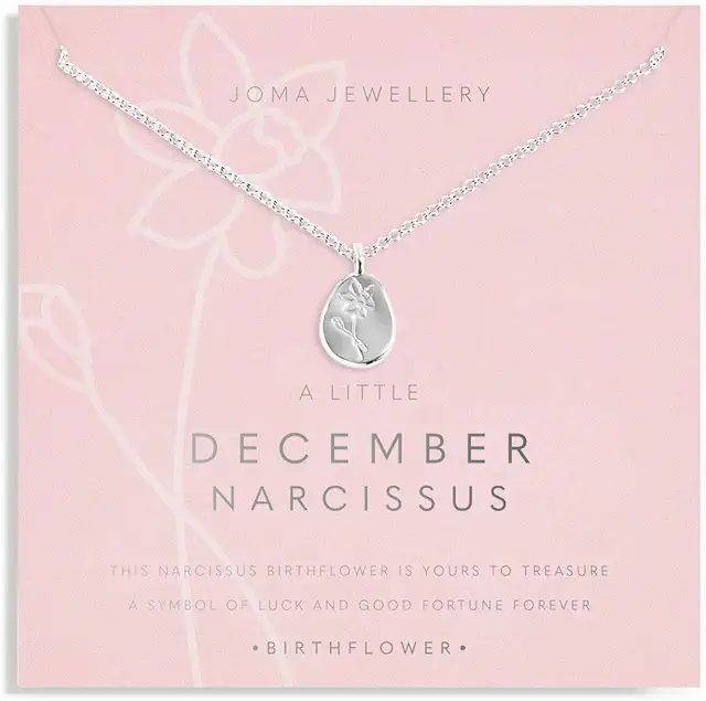 Silver Plated Birth Flower Necklace with Extender | 46cm Length