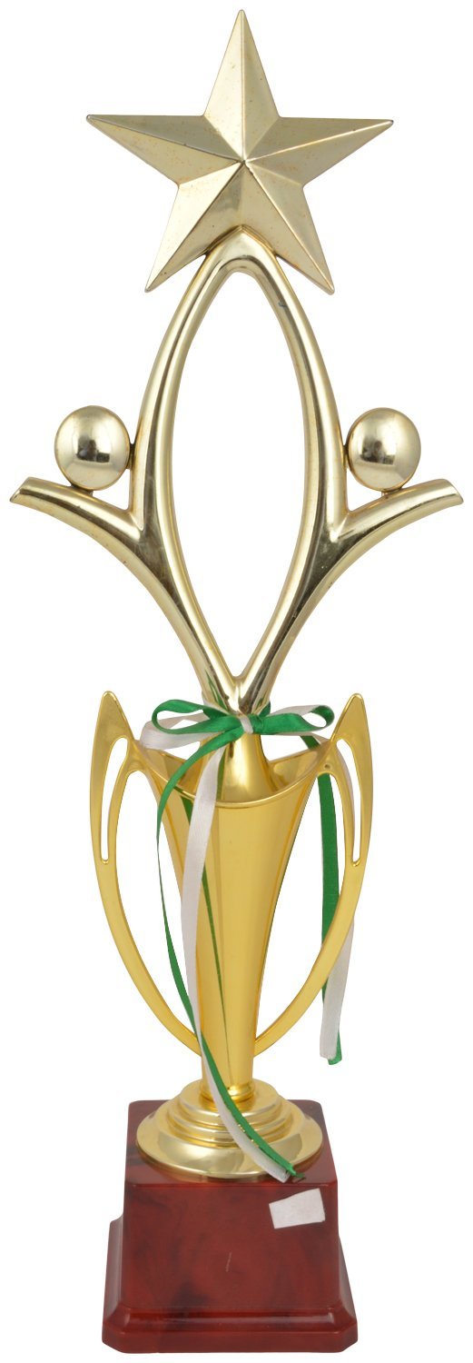 TROPHY JUNCTION Metallic Fiber Star Trophy (Gold, 17 inches) (B01GZP6UWA) Amazon Price History, Amazon Price Tracker