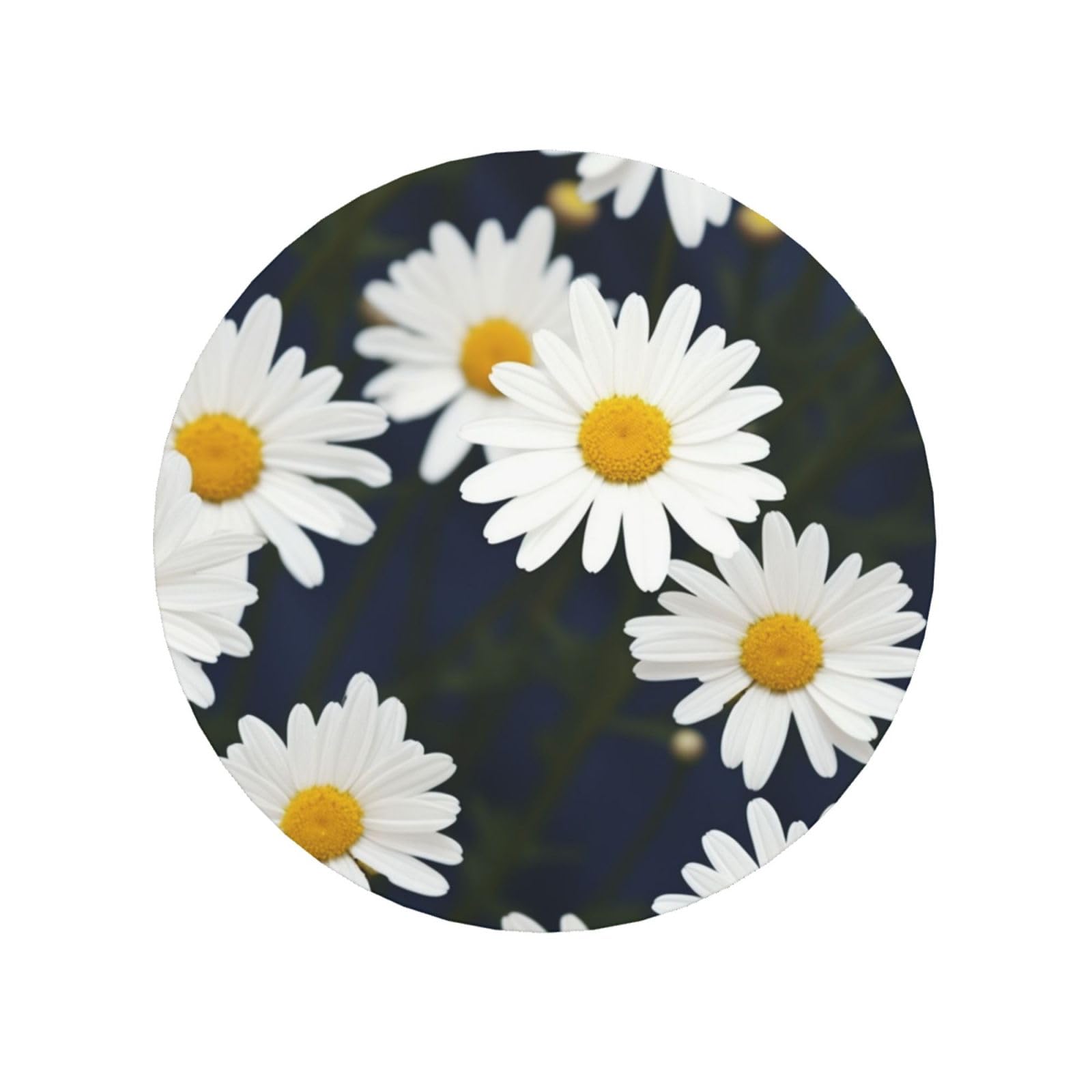 Flowers Daisy Fridge Magnets Small Strong Refrigerator Magnets Cute Decorative Magnets Fridge Sticker Office Magnets for Fridge, Whiteboard, Kitchen Accessories