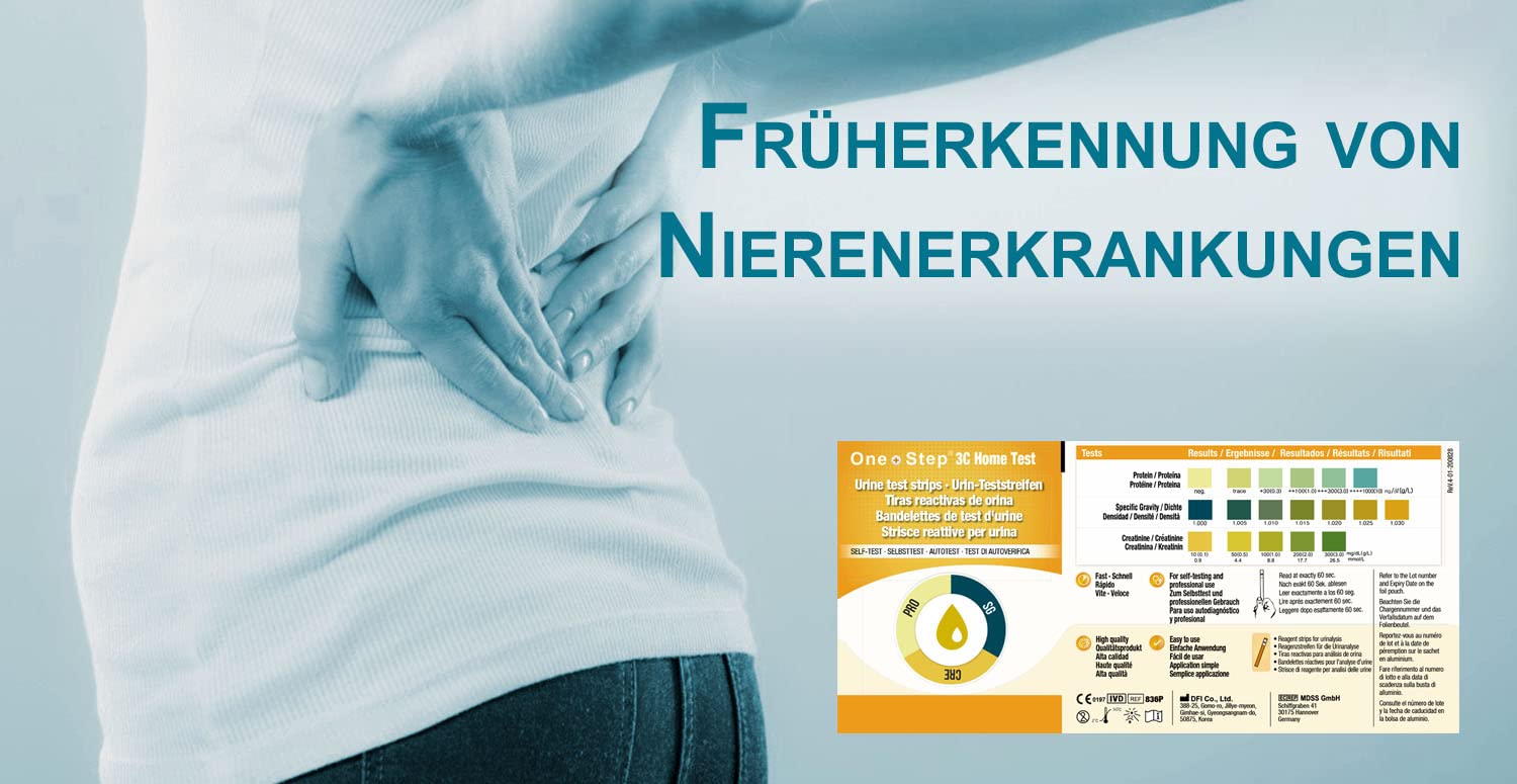 One+Step Nierentest 5 Stück - Urin Teststreifen zur Kontolle von Kreatinin, Protein und spezifisches Gewicht
