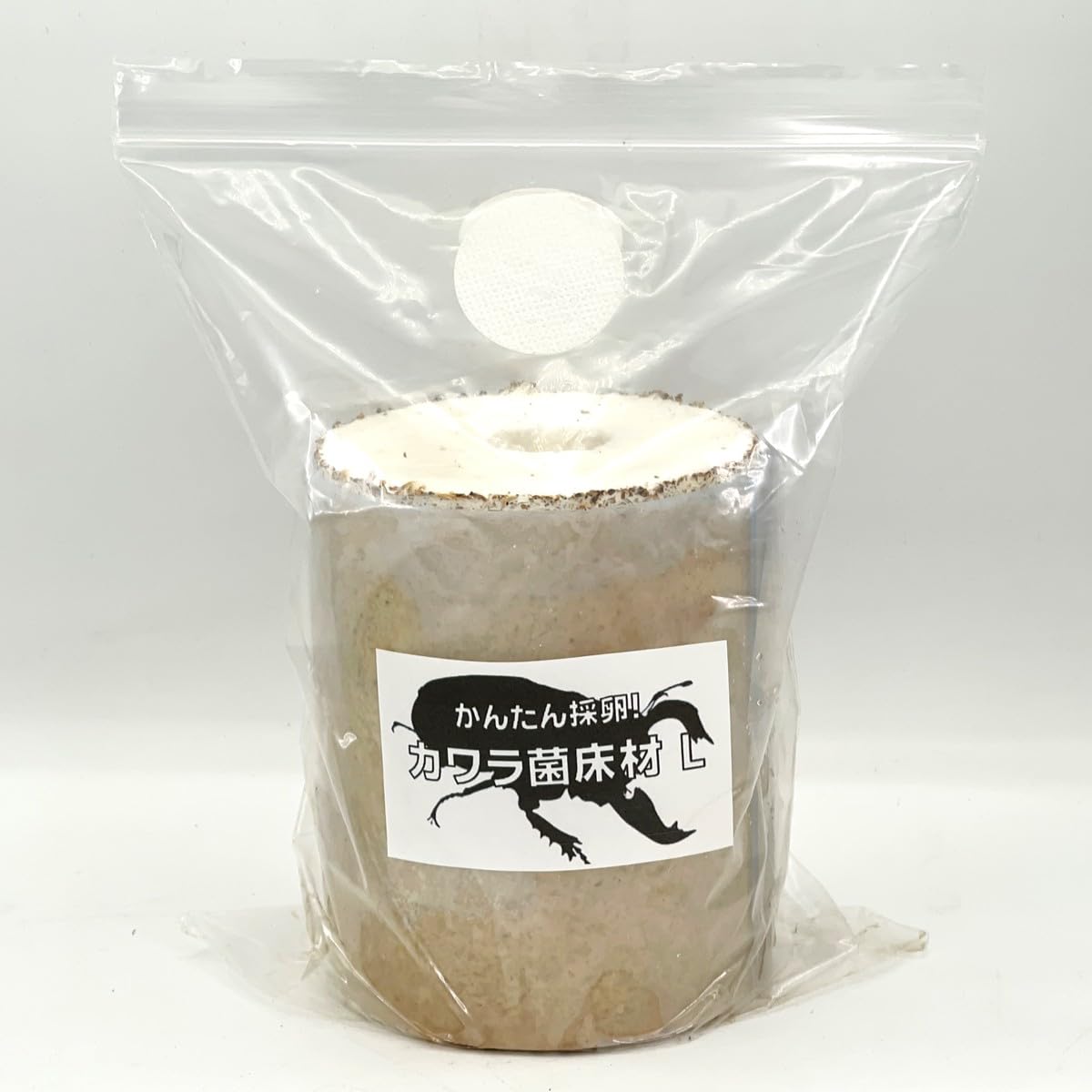 Amazon | タランドゥスオオツヤ 1メス54個採卵！【DDA】カワラ菌床材L