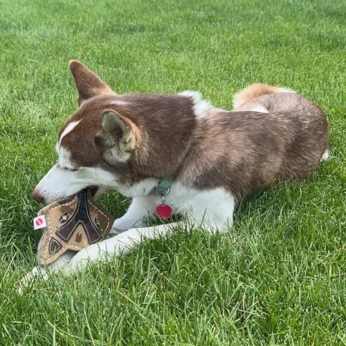 SPOT Dura-Fused Chunkies Fox - All Natural Leather and Felt Dog Toy - No Squeak, No Fluff, Durable, Extra Thick Dog Chew Toy for Aggressive Chewers, Great for Adult Dogs and Teething Puppies, 5in by SPOT - Image 5