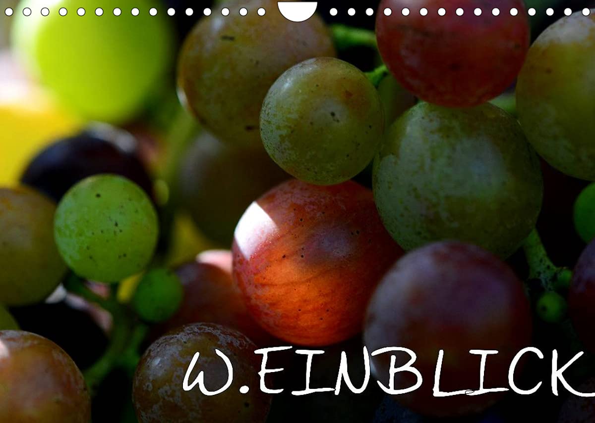 W.EINBLICK (Wandkalender 2023 DIN A4 quer), Calvendo Monatskalender