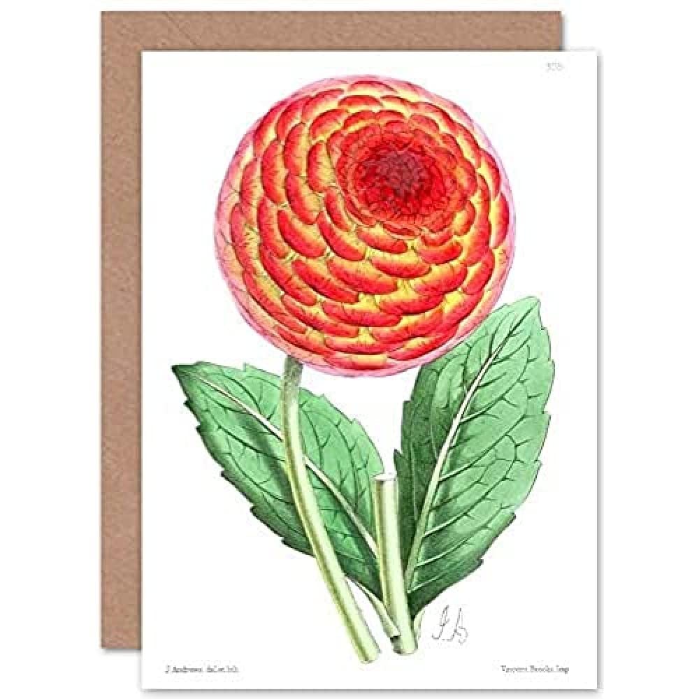 Flower Red Orange Dahlia Greetings Card With Envelope