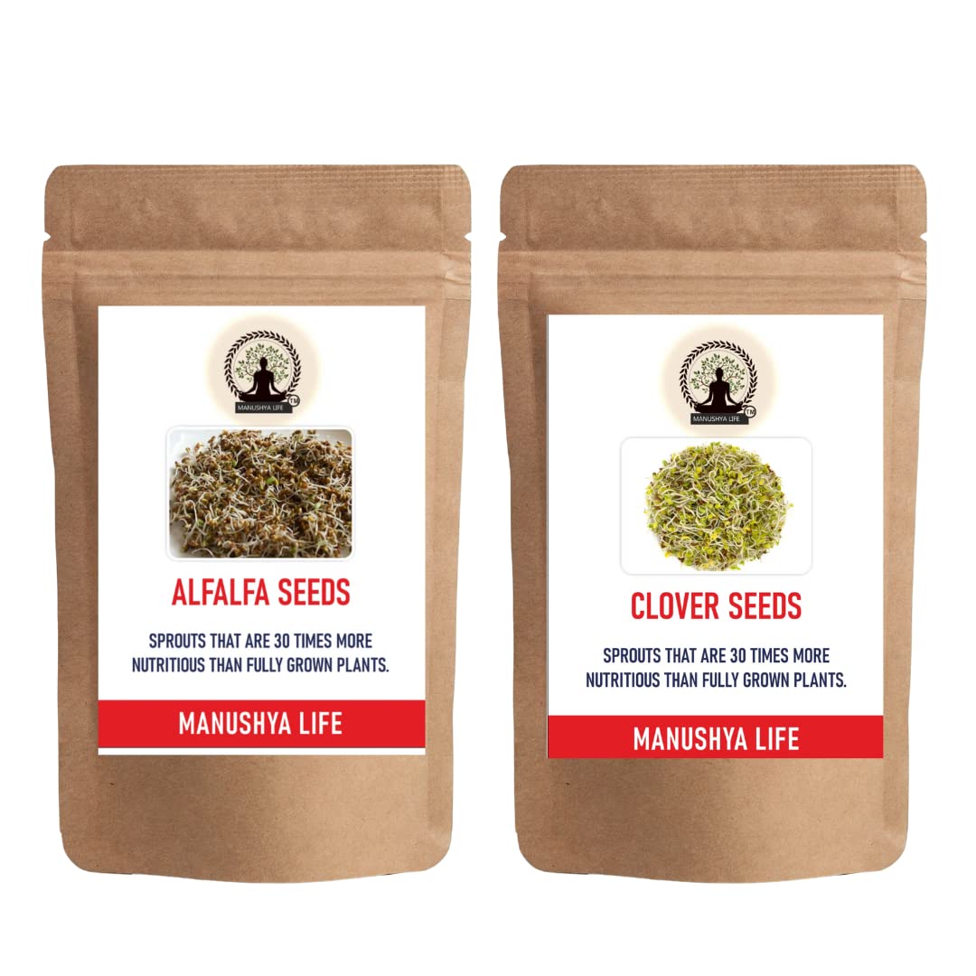 Manushya Life | Combo of Clover and alfalfa seeds | Sprouting and cultivation microgreen | Satvic Lifestyle | Seeds for sprouting | 500 grams x 2 (B0BV4G2M43) Amazon Price History, Amazon Price Tracker