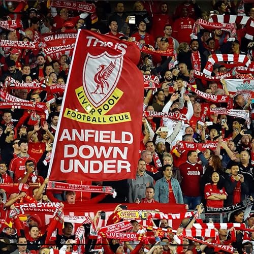 It's Not the Tourists Ruining Anfield, It's the Ticket Resellers! cover art