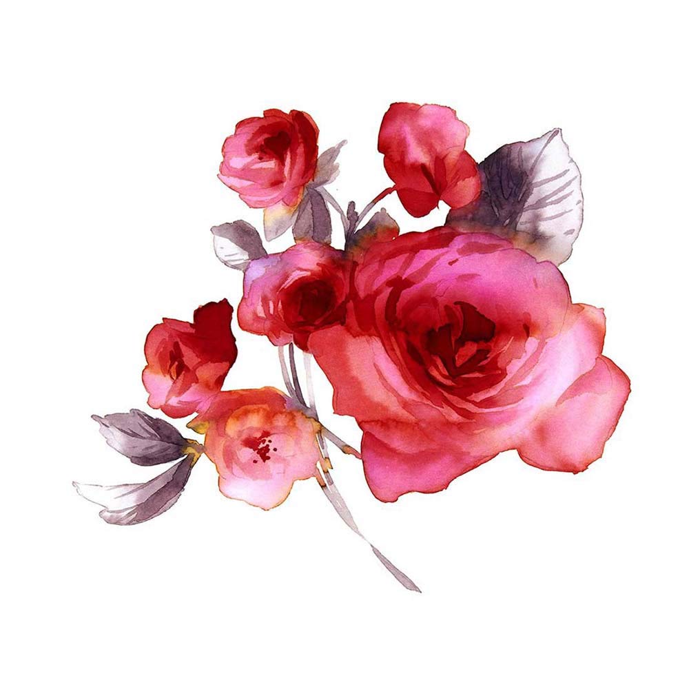 Wee Blue Coo Flower Roses Watercolour Art Print Poster Wall Decor 12X16 Inch