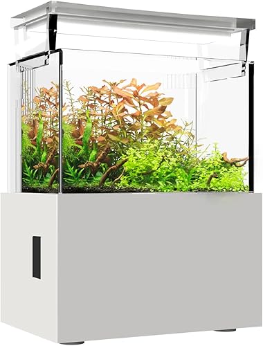 MagTool Mini acuario de acrílico ecológico de escritorio de 0.7 galones premium todo en uno con sistema de filtro inferior y luz LED (UF-01A)