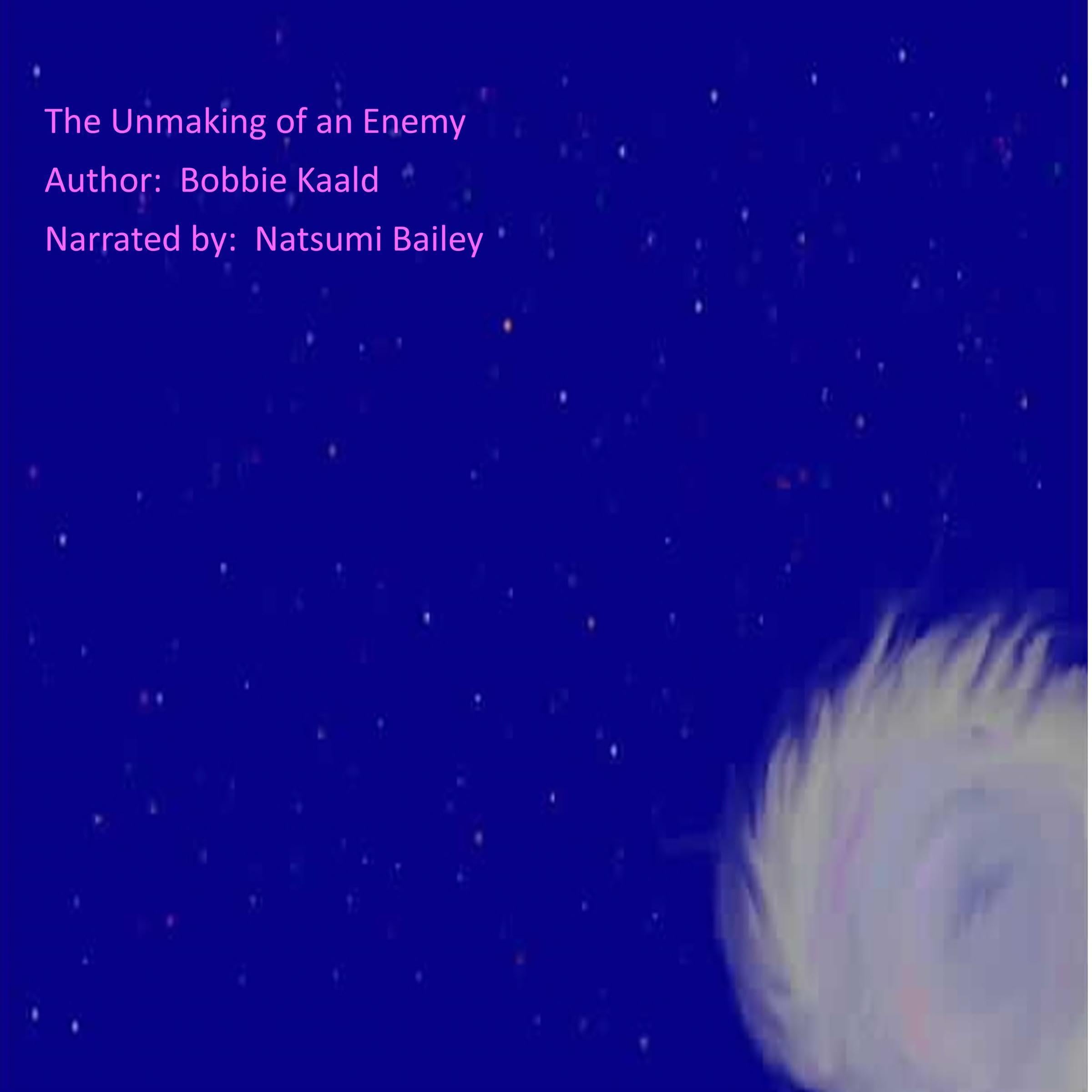 The Unmaking of an Enemy