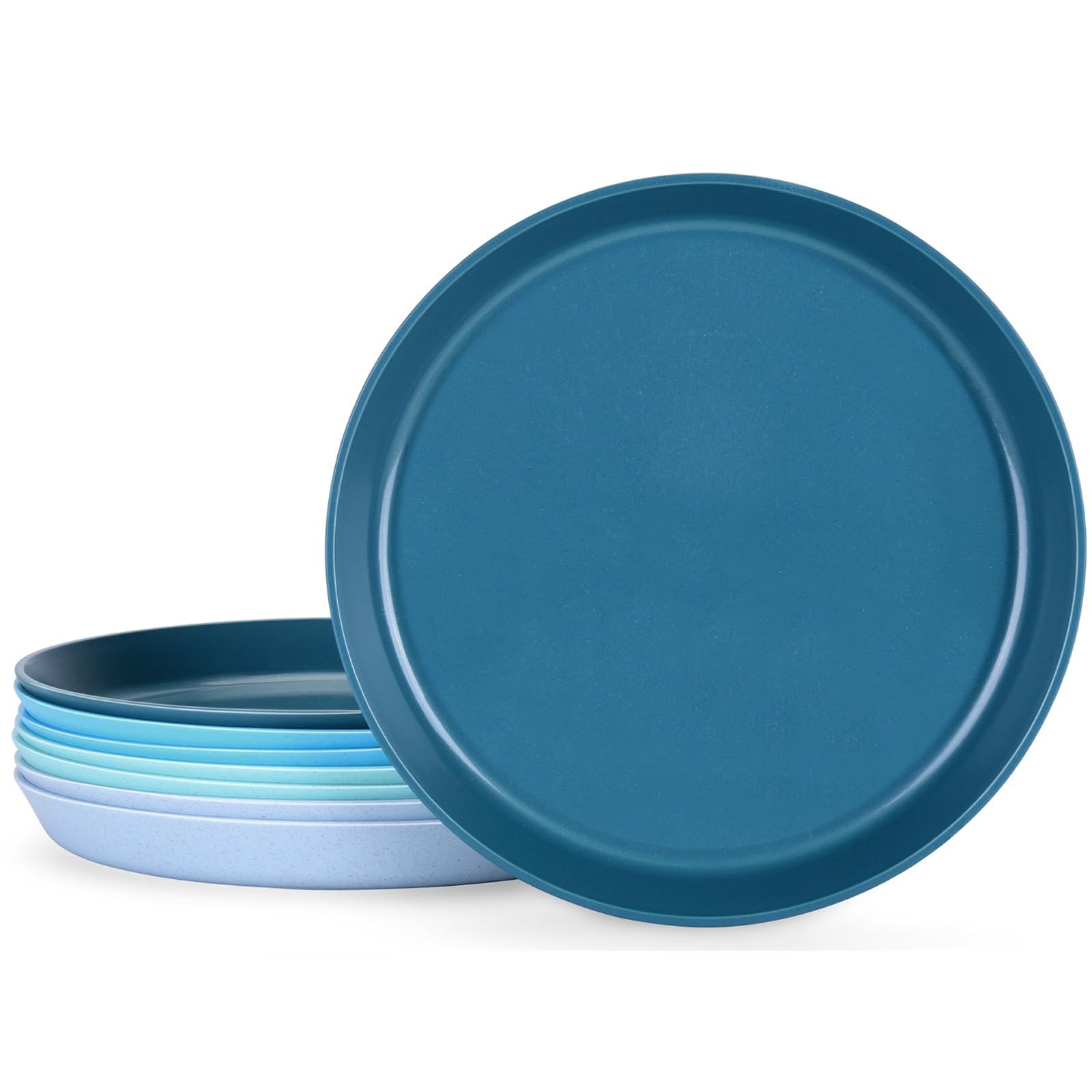 Homestockplus 10 Inch Plastic Dinner Plates Set of 8