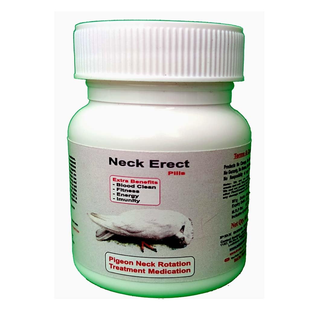 Pigeon Kabootar Neck Twist and Rotation Treatment Medicine || Nack Erect || Kabootar Medicine || Pigeon Medicine (B0CJ7TPNLL) Amazon Price History, Amazon Price Tracker