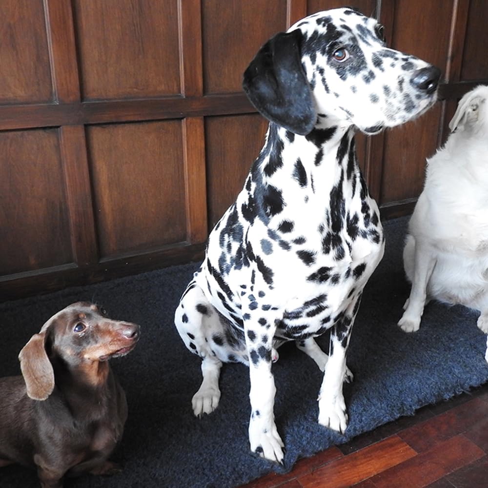 Biancheria da letto per veterinari di alta qualità, 2 colori, ad asciugatura rapida e lavabile, per cuccioli e cani, ideale per il whelping, colore: antracite/foglia di tè 150 x 100 cm