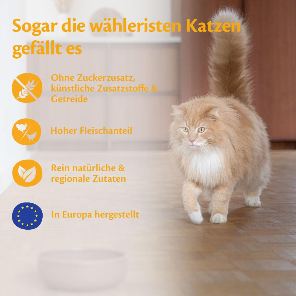 Wellness CORE Sterilised Original 4 kg, Huhn & Truthahn – Katzenfutter Trocken für sterilisierte Katzen, getreidefrei, natürlich, hypoallergen, proteinreich, für eine gesunde Gewichtsregulierung