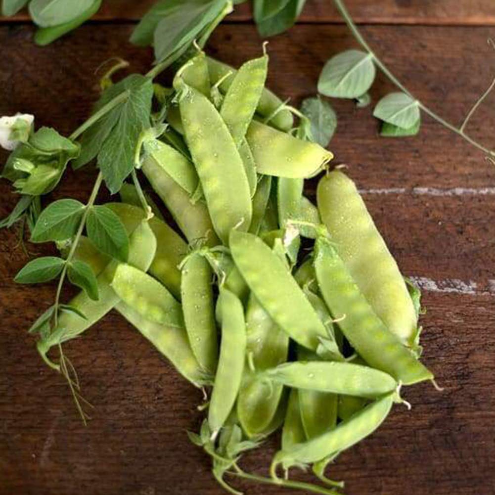 VibeX Heirloom Snow Peas Seeds-200 Seeds (B0B9Y455D2) Amazon Price History, Amazon Price Tracker