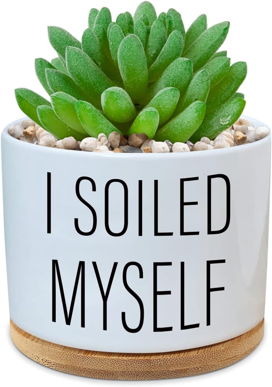 BEILE Funny Ceramic Plant Succulent Cactus Planter Pot with Bamboo Saucers - I Soiled Myself White Mini Office Garden Home Decor for Teacher, Mom, Grandma, Lover, Appreciation Gift, ZX02