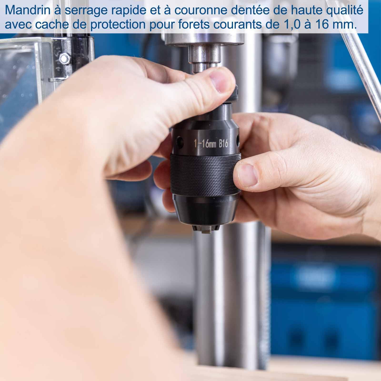 Scheppach Perceuse à colonne TBM300Vario - 750W - table 240 x 240 mm - 440-2580 tr/min - inclinable - mandrin 1-16 mm - profondeur de perçage 80 mm