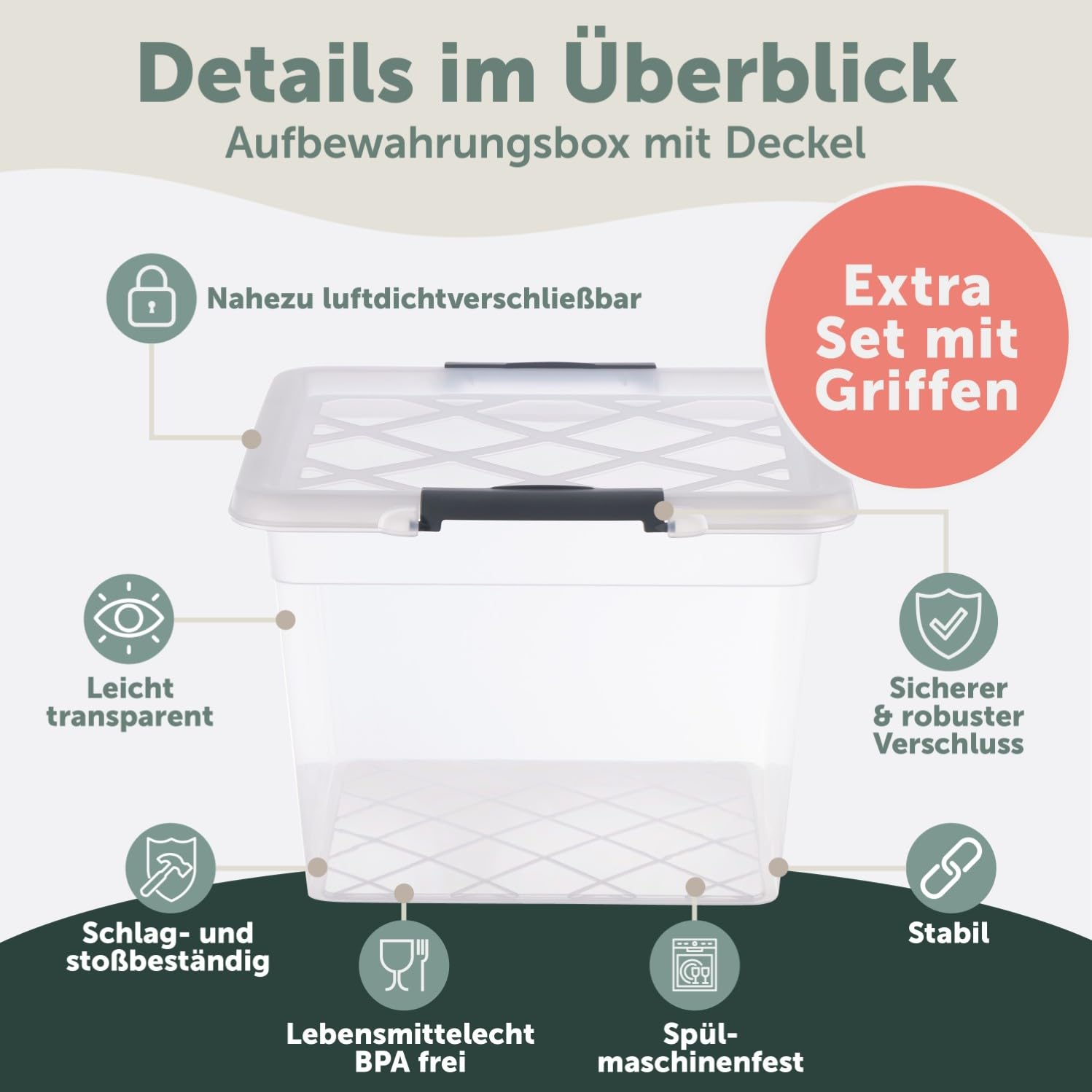 Blumtal Aufbewahrungsbox mit Deckel 32L aus Kunststoff - Aufbewahrungsboxen 36,5x36x26,5 cm - Boxen Aufbewahrung aus 100% Neumaterial & Verschlussclips - Aufbewahrungsbehälter mit Deckel 6er Set