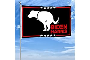 Probsin Anti-Biden 2024 Flag: Patriotic Opposition Expressed