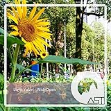 yubelluna  Light Yubel