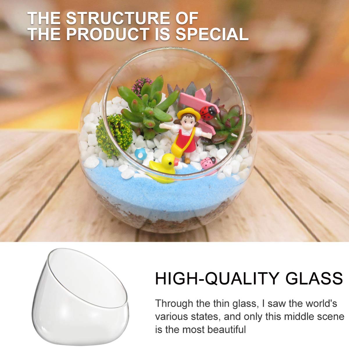 Hemoton Glass Slant Cut Bowl Glass Round Slant Cut Bowl Terrarium