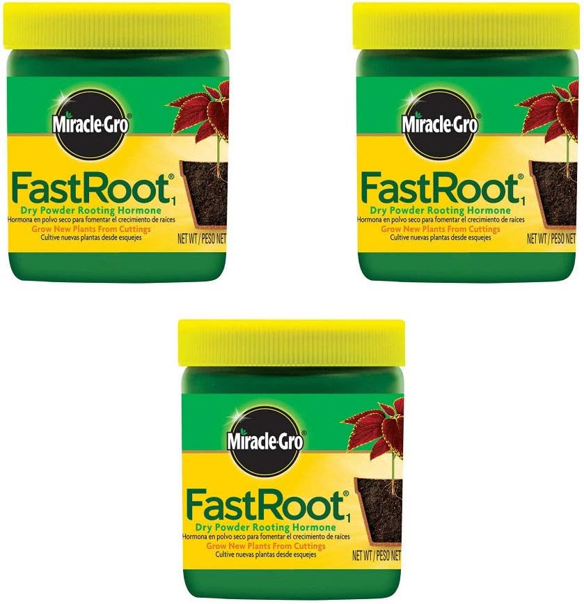 Miracle-Gro FastRoot Dry Powder Rooting Hormone Jar, 1-1/4-Ounce (3 Pack)