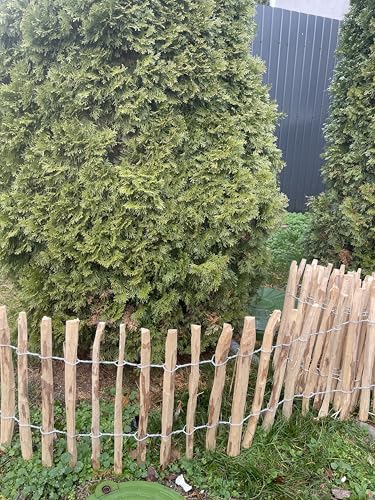 Sevico Staketenzaun imprägniert Haselnuss Holzzaun Haselnussholz Zaunlatte Rollzaun Kastanienzaun Gartenzaun 80 cm x 5m, Lattenabstand: 7-8 cm