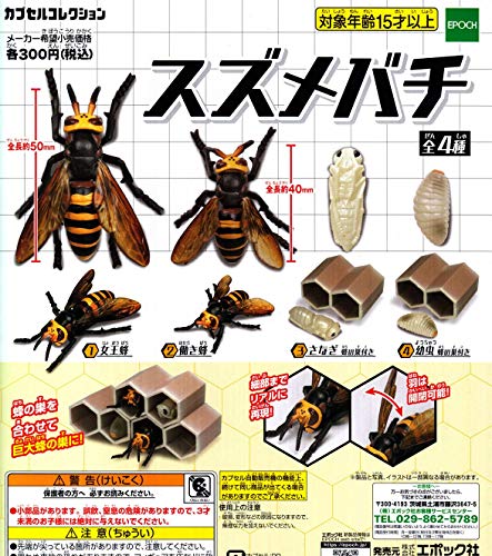 スズメバチ [全4種セット(フルコンプ)]