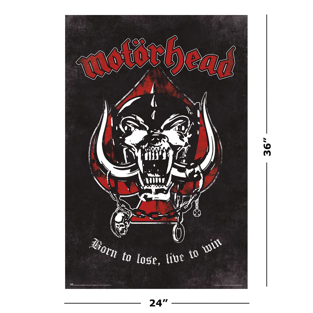 Amazon.com: Motorhead - Music Poster (Born To Lose, Live To Win