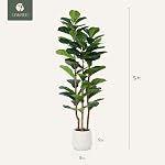 Artificial Fiddle Leaf Fig Tree with White Planter, 5ft Tall Fake Tree with Natural Wood Trunk for Home Decor, Faux Ficus Tree Fake Moss for Indoor Office Living Room