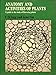 Anatomy and Activities of Plants